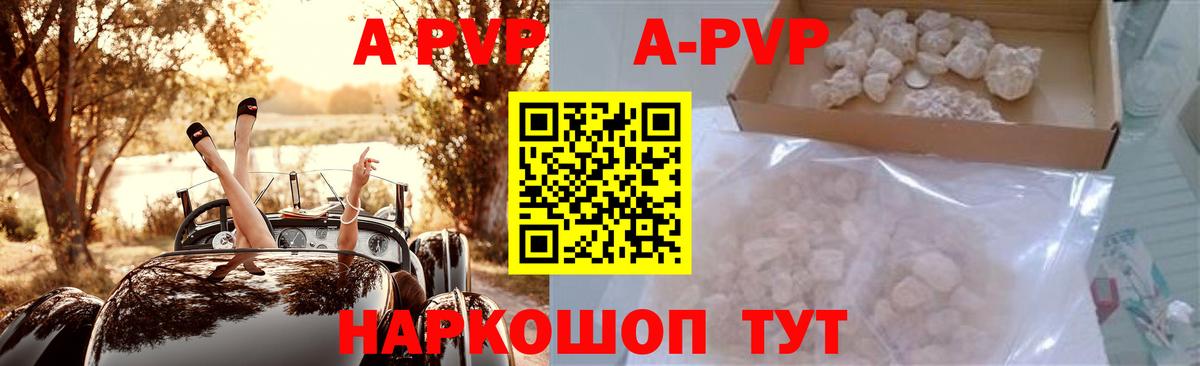 Альфа ПВП СК Назрань