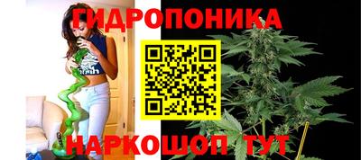 амф Гусиноозёрск
