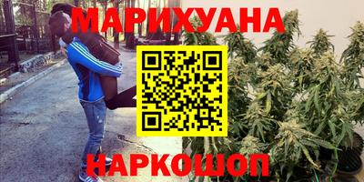 альфа пвп Гусев