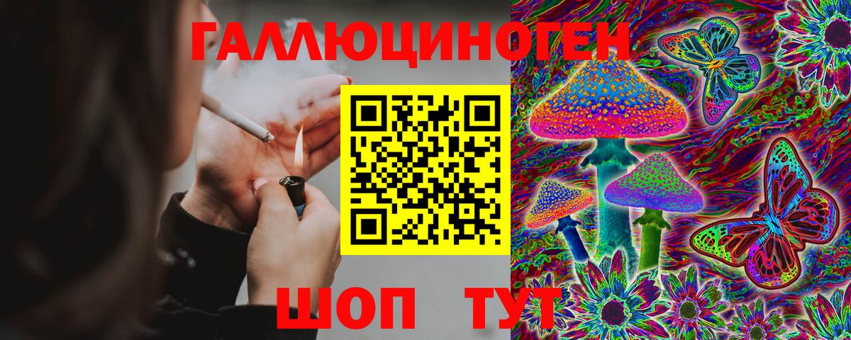 Псилоцибиновые грибы Cubensis Назрань