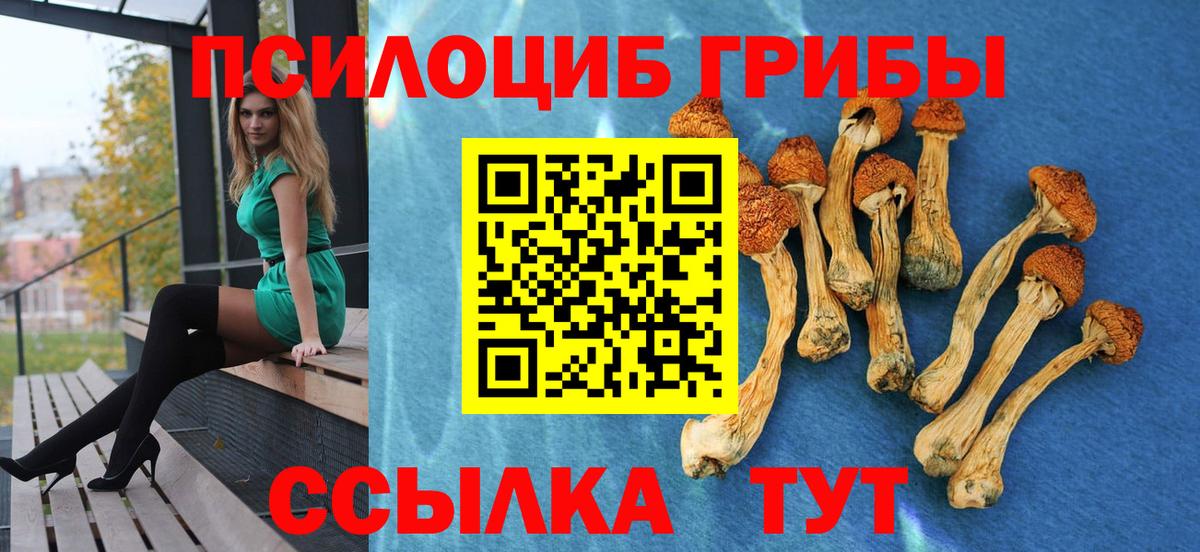 Галлюциногенные грибы ЛСД  Вход с VPN  Назрань 